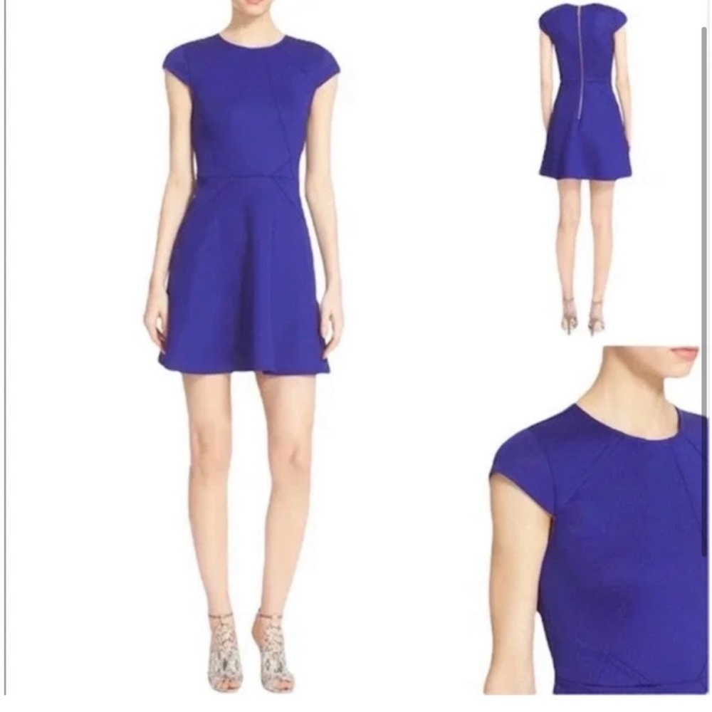 Ted baker skater dress